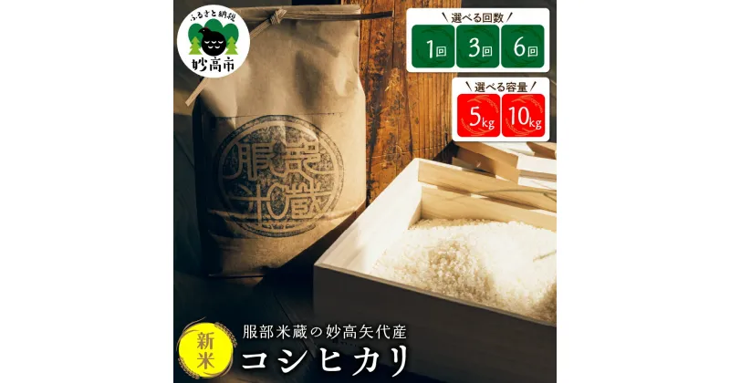 【ふるさと納税】コシヒカリ 選べる 内容量 5kg /10kg 選べる 回数 1回 3回 6回 令和6年産 新米 妙高産 米 服部米蔵 クラフト米袋 白米 お米 農家直送 送料無料 新潟県 妙高市