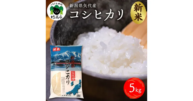 【ふるさと納税】令和6年産 新米 新潟県 矢代産 コシヒカリ 5kg 米 お米 こしひかり 新潟 白米 精米 ブランド米 産地直送 送料無料 お取り寄せ 新潟県 妙高市