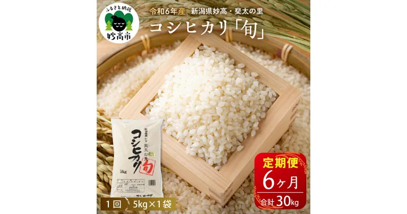 【ふるさと納税】米【定期便】令和6年産 新潟県 妙高産 斐太の里 コシヒカリ 「 旬 」 5kg ×6回 (計30kg) 【発送時期が選べる】