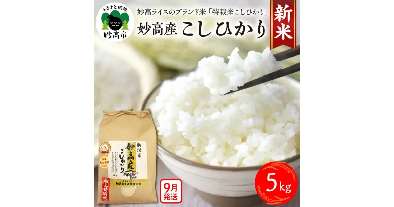 【ふるさと納税】令和6年産 新米 妙高産 こしひかり 特別栽培米 5kg 申し込み後9月上旬発送 米 精米 白米 お米 ブランド米 コシヒカリ 農家直送 産地直送 送料無料 お取り寄せ グルメ ご当地 特産 産地 新潟県 妙高市