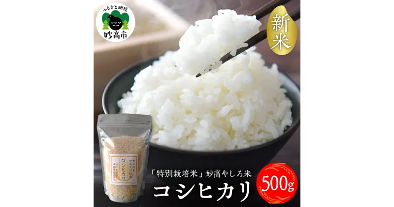 【ふるさと納税】【2024年11月下旬より発送】 令和6年産 新潟県 妙高やしろ米 コシヒカリ 500g 新米 米 精米 お試し お取り寄せ 送料無料 妙高市