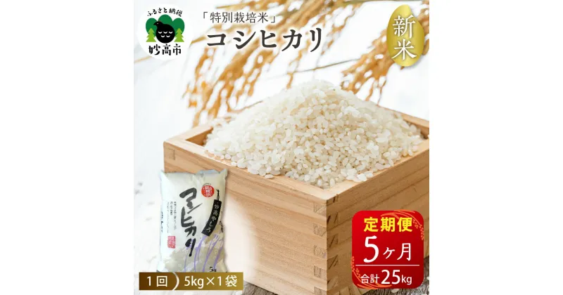 【ふるさと納税】【2024年11月下旬より】【5ヵ月定期便】令和6年産 新潟県 妙高やしろ米 コシヒカリ 25kg (5kg×5回) 新米 米 精米 毎月定期便 お取り寄せ 送料無料 妙高市