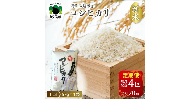 【ふるさと納税】【2024年11月下旬より】令和6年産【定期便：隔月】新潟県 妙高やしろ米 コシヒカリ 20kg (5kg×4回) 新米 米 精米 お取り寄せ 送料無料 妙高市