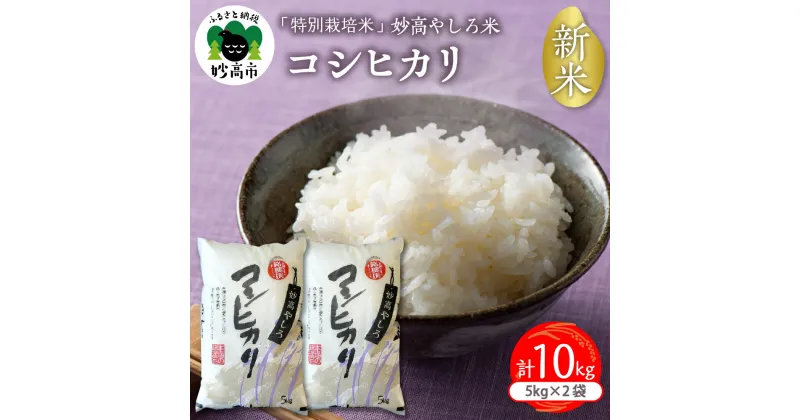 【ふるさと納税】【2024年11月下旬より発送】令和6年産 新潟県 妙高やしろ米 コシヒカリ 10kg (5kg×2袋) 新米 米 精米 お取り寄せ 送料無料 妙高市