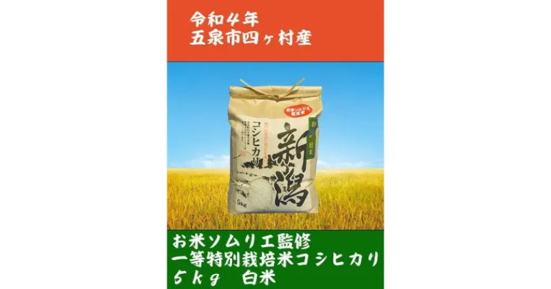 【ふるさと納税】【味に自信あり】令和5年新潟県五泉市四ヶ村産1等コシヒカリ5kg　精白米　色選済【1332234】