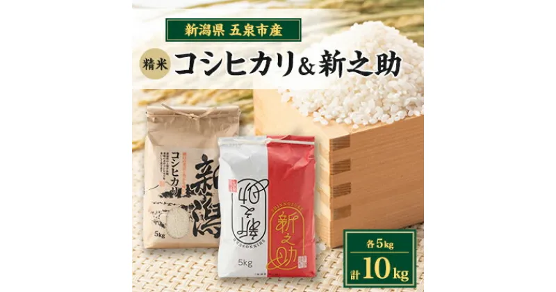 【ふるさと納税】新米予約【味に自信あり】令和6年新潟県五泉市四ヶ村産食べ比べセット10kgコシヒカリ・新之助【1332236】