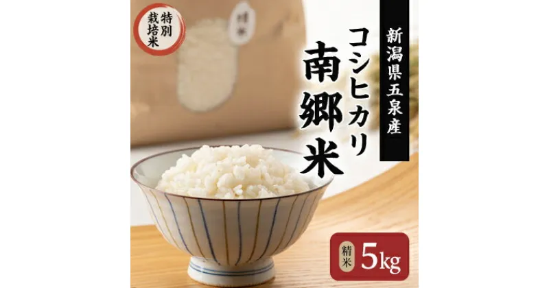 【ふるさと納税】令和6年産 先行予約中! 特別栽培米 隠れたお米の名産地!新潟県五泉産コシヒカリ「南郷米」精米5kg【1419351】