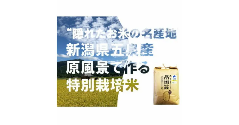 【ふるさと納税】令和6年産 先行予約中 特別栽培米 隠れたお米の名産地!新潟県五泉産コシヒカリ「南郷米」玄米10kg【1447530】