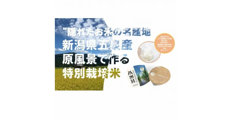 【ふるさと納税】特別栽培米!パックごはん150g×24個 新潟県五泉産コシヒカリ100%【1452219】