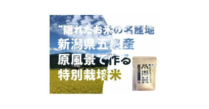 【ふるさと納税】令和6年産 先行予約中! 特別栽培米 隠れたお米の名産地!新潟県五泉産コシヒカリ「南郷米」精米3kg【1528905】