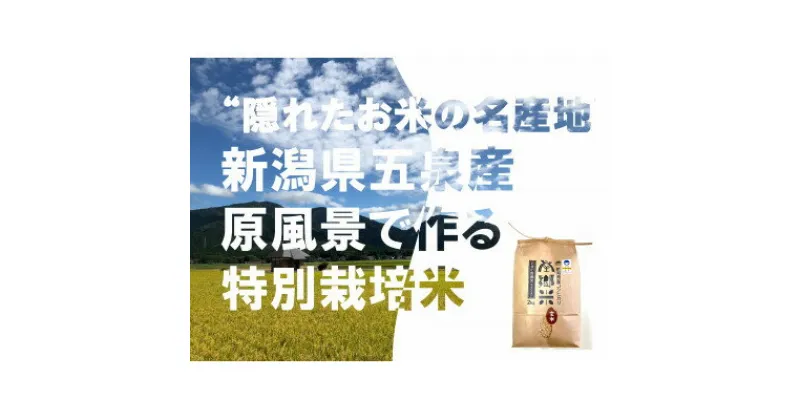 【ふるさと納税】令和6年産 先行予約中! 特別栽培米 隠れたお米の名産地!新潟県五泉産コシヒカリ「南郷米」玄米6kg【1528911】