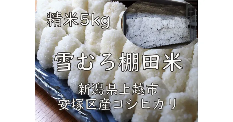 【ふるさと納税】米 雪むろ 棚田米 コシヒカリ 5kg 精白米 お米 こめ こしひかり ユキノハコ 新潟 新潟県産 上越 上越市　お届け：寄附確認後、随時発送致します。