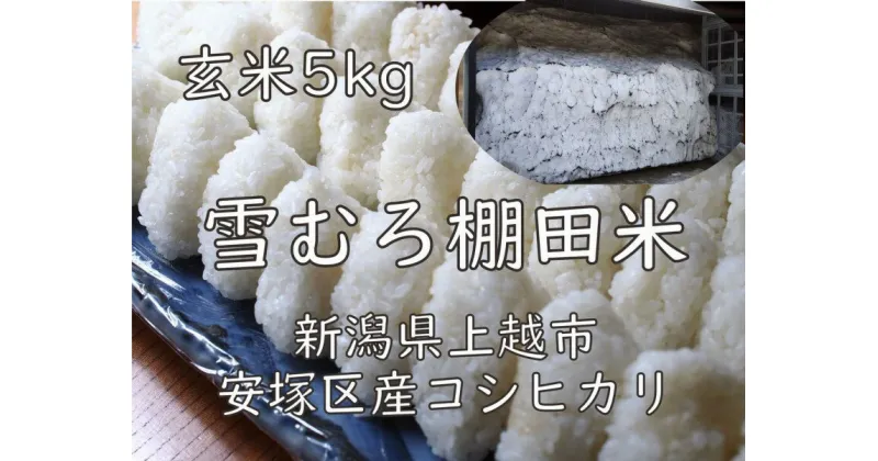 【ふるさと納税】米 雪むろ 棚田米 コシヒカリ 5kg 玄米 こしひかり お米 こめ おすすめ ふるさと納税 ユキノハコ 新潟 新潟県産 にいがた 上越 上越産　お届け：寄附確認後、随時発送致します。