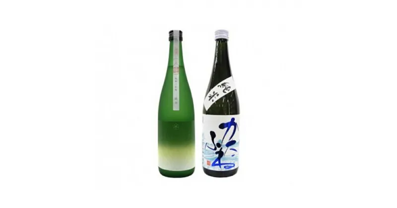 【ふるさと納税】新潟純米酒 720ml 2本セット 越路乃紅梅・かたふね 日本酒 お酒 飲み比べ 越路乃紅梅 かたふね ふるさと納税 人気 新潟 新潟県産 にいがた 上越 上越産　お届け：入金確認後、5日を目途に発送致します。