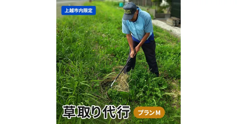 【ふるさと納税】草取り 代行プラン M（上越市内限定）草刈り 手作業 雑草 除草 上越市　お届け：確認後、随時発送いたします。