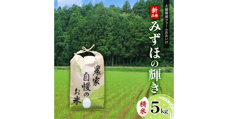 【ふるさと納税】米 【先行受付】上越頸城ファームおおいけ 産新品種「みずほの輝き」精米5kg【産地限定】 お米 コメ 精米　お届け：2024年9月15日以降、随時発送いたします。