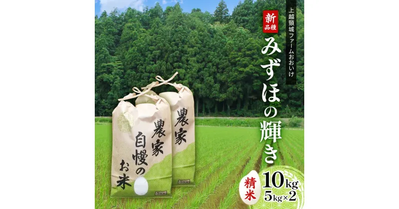 【ふるさと納税】米 【先行受付】上越頸城ファームおおいけ 産新品種「みずほの輝き」精米5kg×2【産地限定】 お米 コメ 精米　お届け：2024年9月15日以降、随時発送いたします。