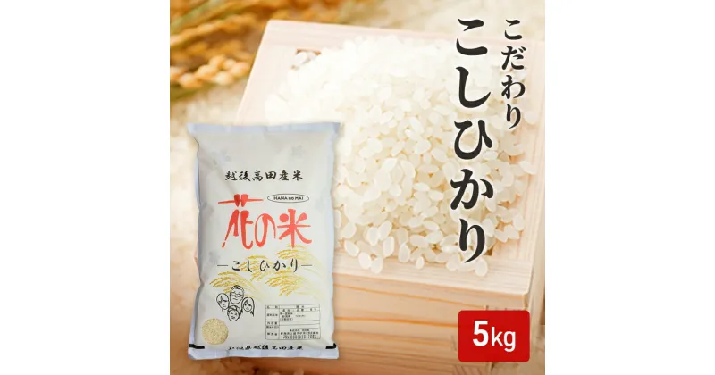 【ふるさと納税】コシヒカリ 【花の米】こだわりこしひかり 白米 5kg こしひかり 米 お米 こめ 白米 おすすめ ふるさと納税 新潟 新潟県産 にいがた 上越 上越産