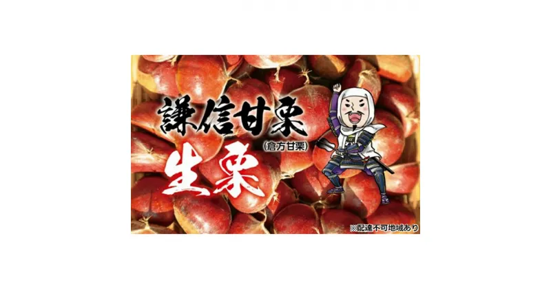 【ふるさと納税】倉方甘栗 生栗 1kg【氷蔵熟成栗謙信甘栗】　新潟 上越 栗 くり　お届け：2024年10月17日～2024年12月15日