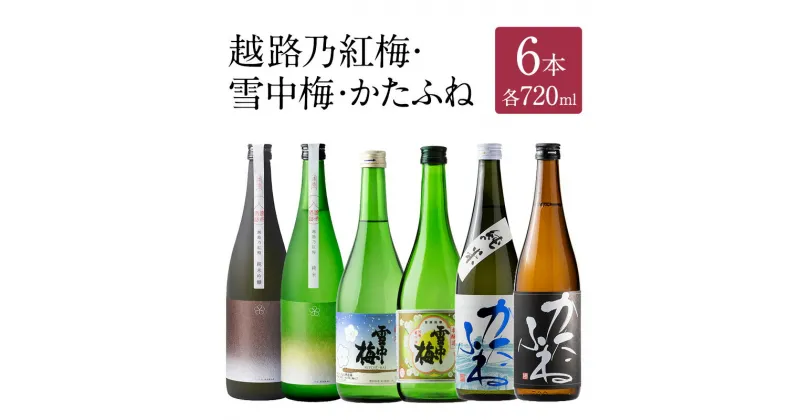 【ふるさと納税】日本酒 越路乃紅梅 雪中梅 かたふね 720ml 6本 セット 雪中梅 かたふね 飲み比べ 越路乃紅梅 越路乃紅梅 お酒 ふるさと納税 新潟 新潟県産 にいがた 上越 上越産　お届け：順次発送