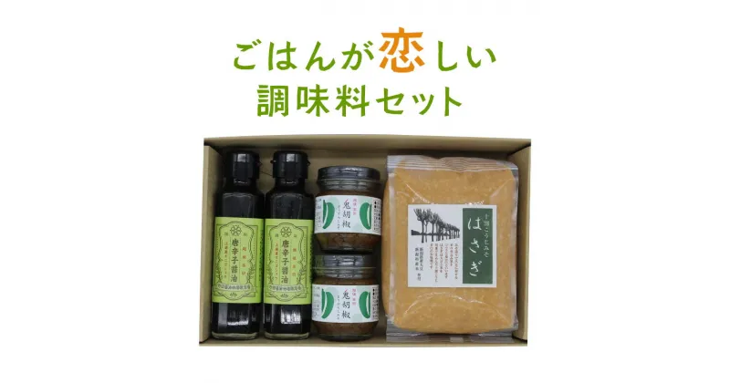 【ふるさと納税】調味料 ごはんが恋しい調味料セット 味噌 醤油 セット　お届け：入金確認後、順次発送いたします。