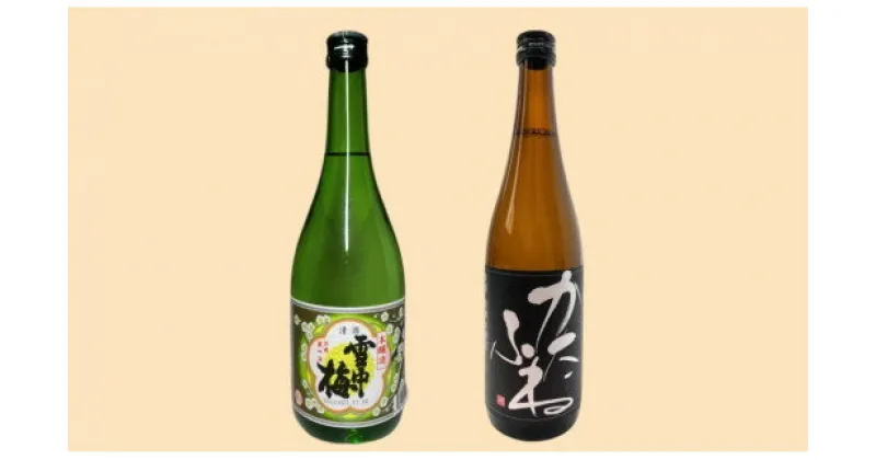 【ふるさと納税】お酒 雪中梅とかたふね（本醸造）セット 日本酒 酒 アルコール　お届け：入金確認次第、順次発送いたします。