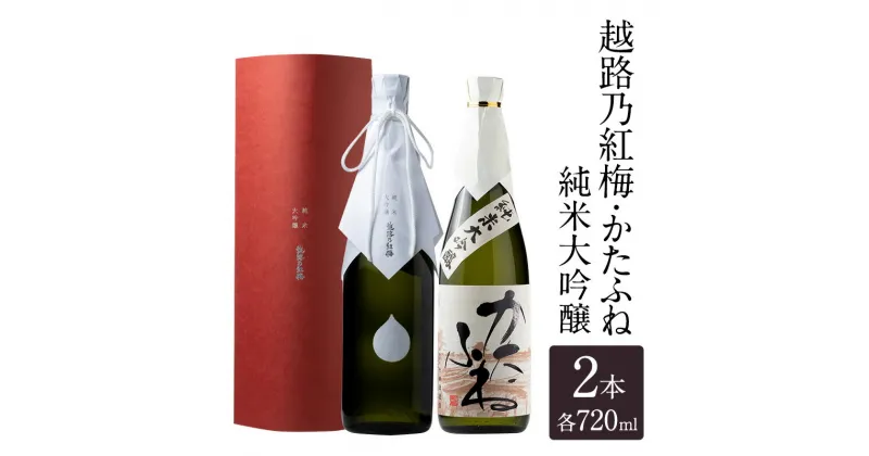 【ふるさと納税】日本酒 越路乃紅梅 かたふね 純米大吟醸 720ml 2本 セット お酒 おすすめ 酒 ふるさと納税 新潟 新潟県産 にいがた 上越 上越産　お届け：順次発送