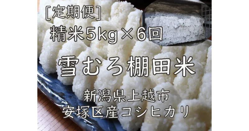 【ふるさと納税】定期便 6ヶ月 雪むろ 棚田米 コシヒカリ 5kg 精白米 [定期便]毎月発送(計6回) こしひかり 米 お米 こめ おすすめ ユキノハコ 新潟 新潟県産 にいがた 上越 上越産　定期便　お届け：寄附入金確認月の翌月から発送いたします