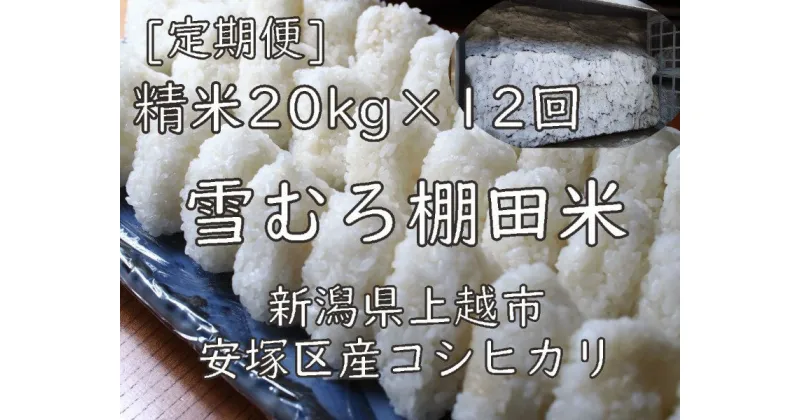 【ふるさと納税】定期便 12ヶ月 雪むろ 棚田米 コシヒカリ 20kg 精白米 [定期便]毎月発送(計12回) こしひかり 米 お米 こめ おすすめ ユキノハコ 新潟 新潟県産 にいがた 上越 上越産　定期便　お届け：寄附入金確認月の翌月から発送いたします