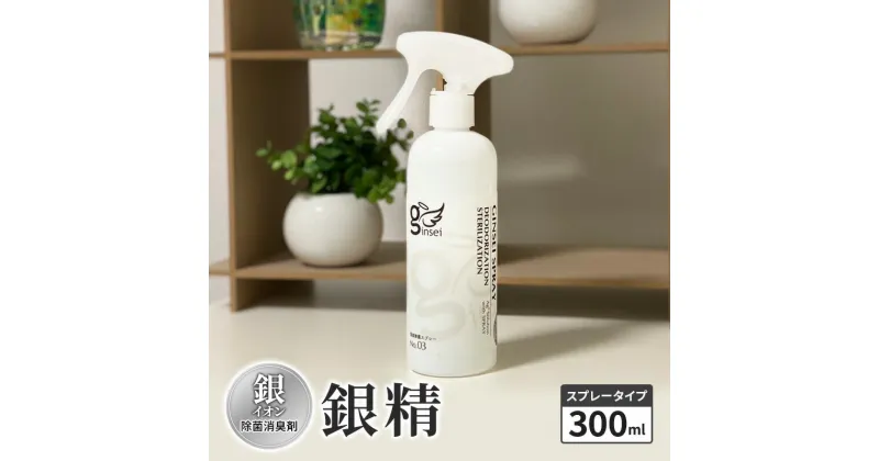 【ふるさと納税】銀イオン除菌消臭剤【銀精】スプレータイプ 300ml 無香料 ノンアルコール　お届け：ご入金確認次第順次発送いたします。