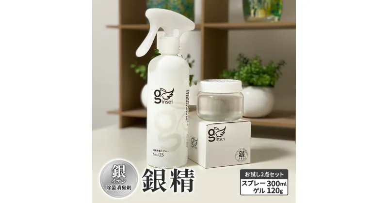 【ふるさと納税】銀イオン除菌消臭剤【銀精】スプレータイプ300ml・ゲルタイプ120gお試し2点セット 無香料 ノンアルコール　お届け：ご入金確認次第順次発送いたします。