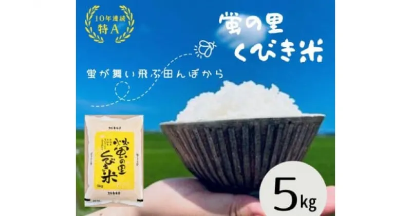 【ふるさと納税】【令和6年産】新潟上越産コシヒカリ 5kg｜コシヒカリ 米 こしひかり こめ おすすめ 新潟 新潟県産 にいがた 上越 上越産　お届け：新米予約受付いたします。10月上旬から準備出来次第入金確認後、順次発送いたします。