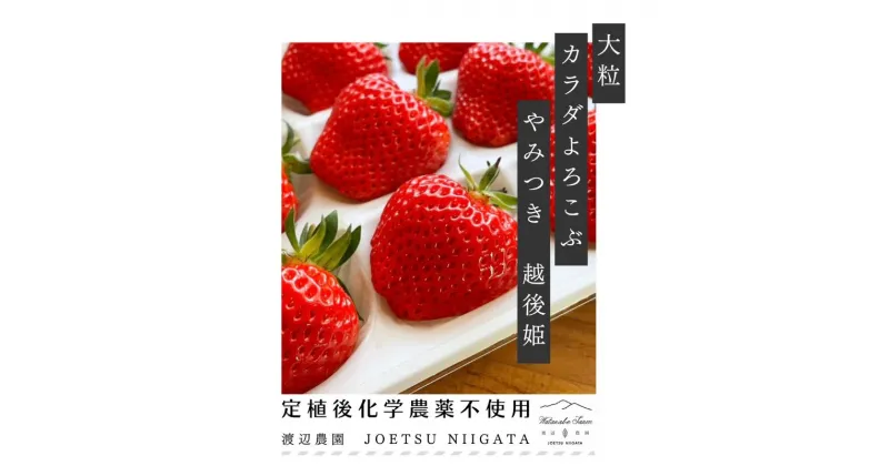 【ふるさと納税】いちご 大粒 カラダよろこぶ やみつき 越後姫 約400g×1パック (9～15粒入り) イチゴ 苺 上越市 新潟　お届け：2025年1月上旬～2025年5月下旬（天候や青果物の生育・収穫状況によりお届け時期が前後する場合がございます。）