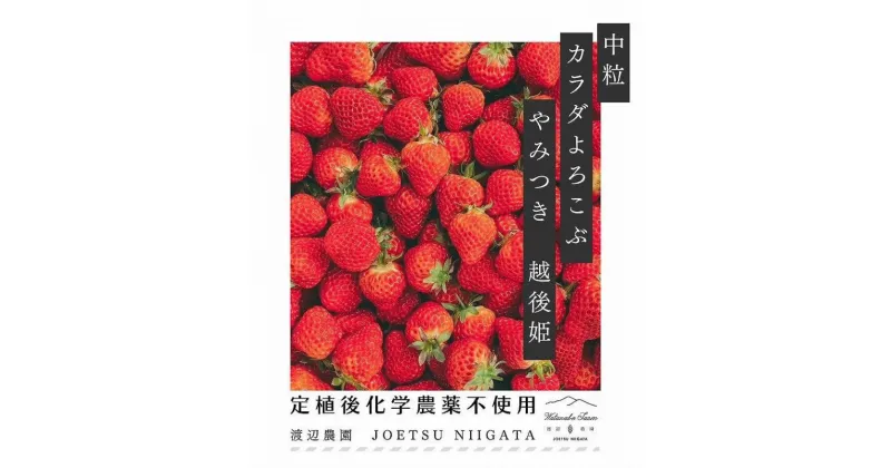 【ふるさと納税】いちご 中粒 カラダよろこぶ やみつき 越後姫 約200g×2パック (18～22粒入り) イチゴ 苺 上越市 新潟　お届け：2025年1月上旬～2025年5月下旬（天候や青果物の生育・収穫状況によりお届け時期が前後する場合がございます。）