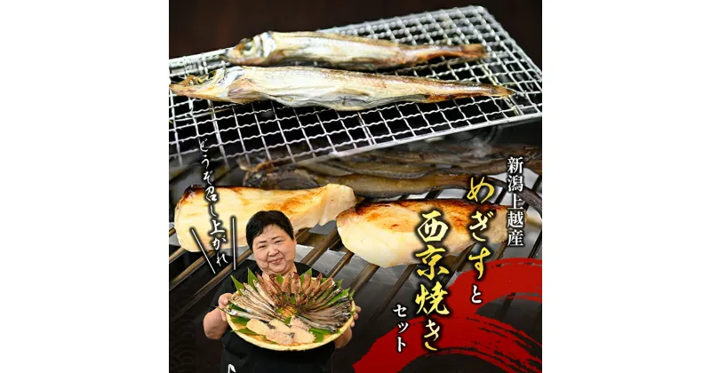 【ふるさと納税】メギスと旬魚の西京漬けセット　メギス 旬魚 魚 西京漬け 西京漬 セット 干物 個装包装 新潟県 上越市　お届け：入金確認後、随時発送いたします。