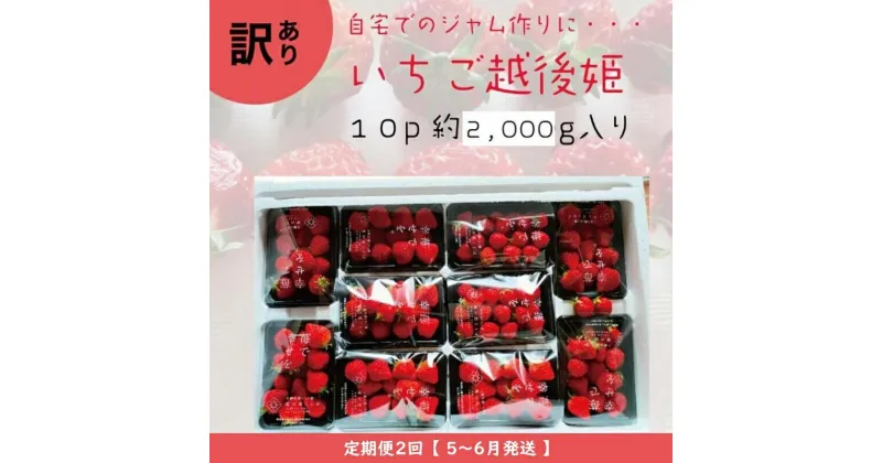 【ふるさと納税】定期便 2回【2025年5～6月発送】訳あり越後姫 約200g×10定期配送 越後姫 えちごひめ 苺 いちご 訳あり 新潟　定期便　お届け：5月～6月の月1回お届けいたします。