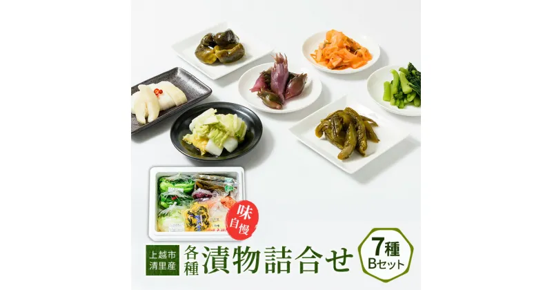 【ふるさと納税】漬物 専門店!国産野菜使用 人気の味自慢漬物詰合せBセット 漬け物 つけもの 加工食品 おかず お取り寄せ　お届け：ご注文後、2～3週間を目途に順次発送いたします。