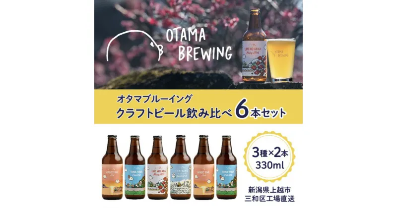 【ふるさと納税】クラフトビール 飲み比べ 6本 セット 新潟県上越市 330ml 定番4種から3種×2本 工場直送 ビール