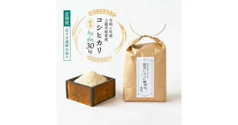 【ふるさと納税】令和6年産 棚田米 上越市板倉産 コシヒカリ 定期便 【6ヶ月連続お届け】5kg×6回 30kg 新米　精米　新潟 米 新潟県 こしひかり 限定 おすすめ　定期便