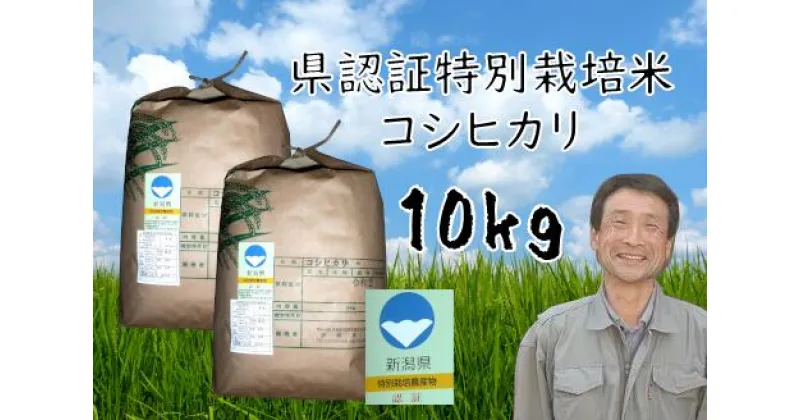 【ふるさと納税】【令和6年産新米予約】新潟県認証 特別栽培米 コシヒカリ 10kg 9月下旬より順次発送予定