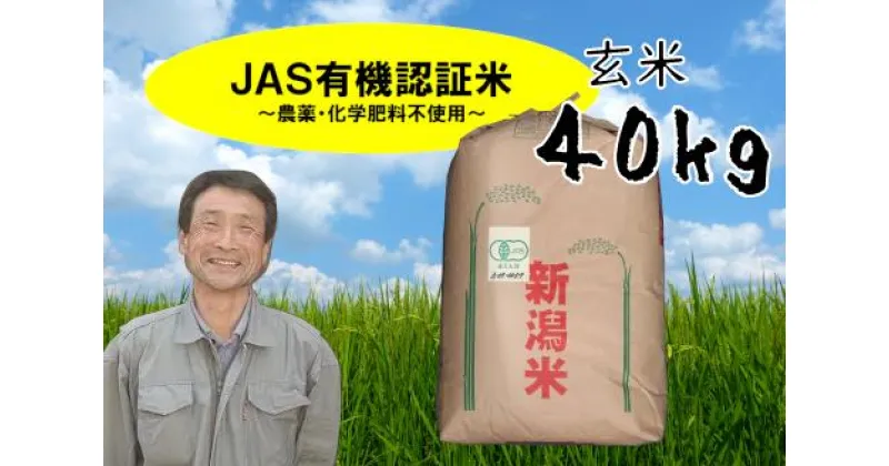 【ふるさと納税】【令和6年産新米予約】JAS 有機認証米 コシヒカリ 玄米 40kg 10月上旬より順次発送予定 精米も可