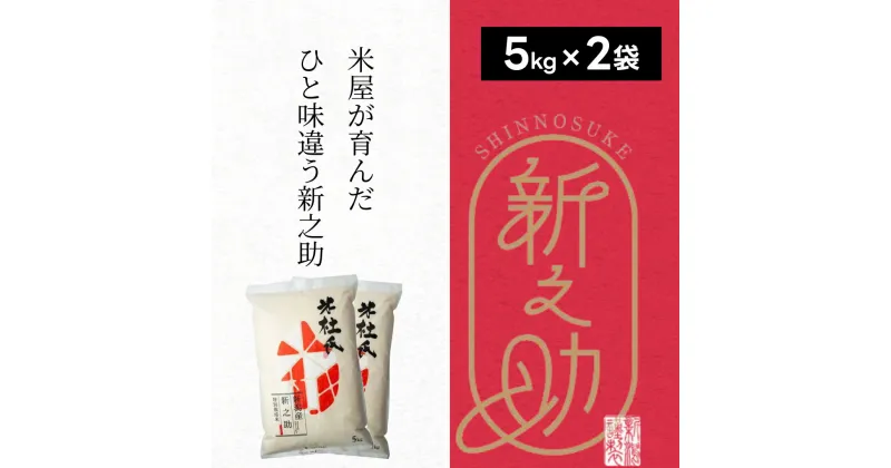 【ふるさと納税】 【新米】特別栽培米 新之助 10kg (5kg×2袋) 米杜氏 壱成 白米 精米 大粒 つや 光沢 弾力 芳醇