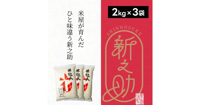 【ふるさと納税】【新米】特別栽培米 新之助 6kg (2kg×3袋) 米杜氏 壱成 白米 精米 大粒 つや 光沢 弾力 芳醇