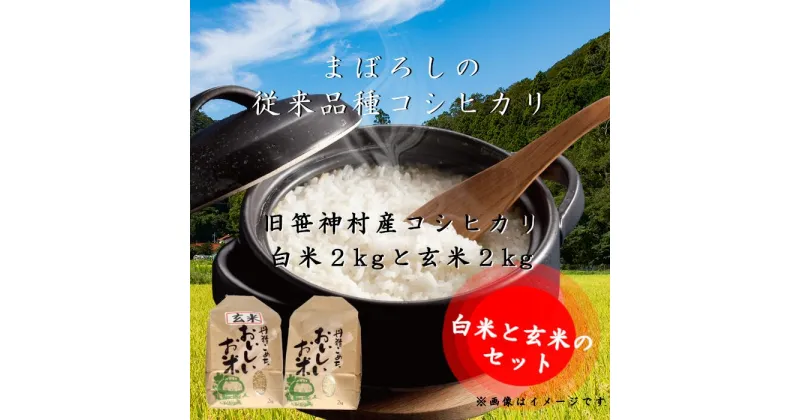 【ふるさと納税】【令和6年産新米予約】旧笹神村産 コシヒカリ 白米2kgと玄米2kg 計4kg 9月下旬より順次発送予定