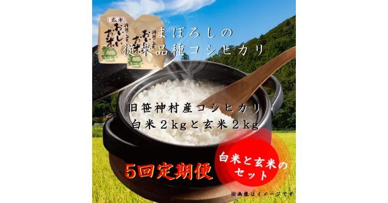 【ふるさと納税】【令和6年産新米予約】【5回定期便】旧笹神村産 コシヒカリ 白米2kgと玄米2kg 計4kg 9月下旬より順次発送予定