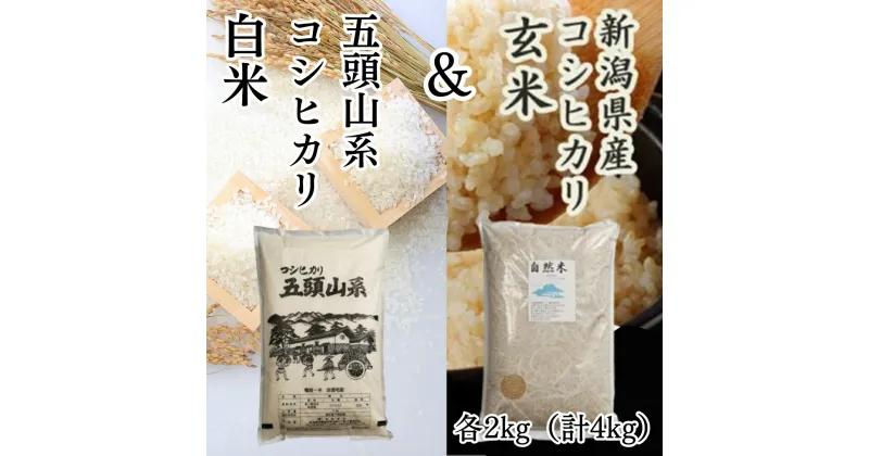 【ふるさと納税】【新米】 「米屋のこだわり阿賀野市産」 コシヒカリ 玄米 ＆ 白米 各2kg 計4kg セット