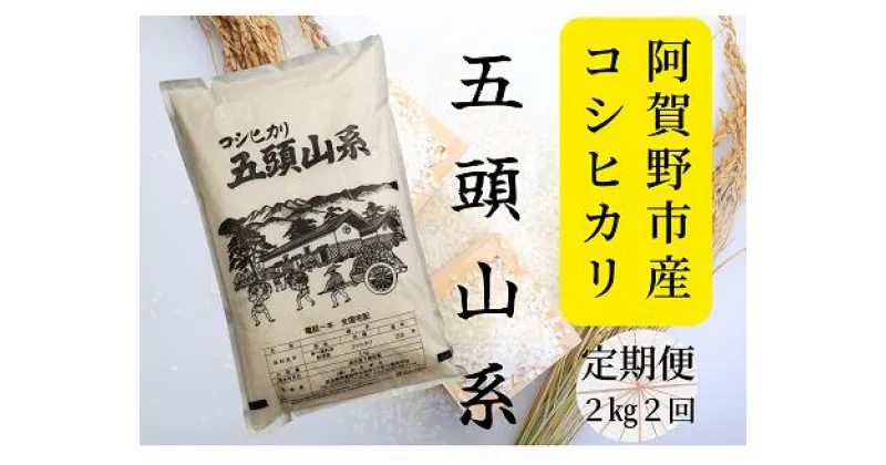 【ふるさと納税】【新米】「米屋のこだわり阿賀野市産」≪2回定期便≫コシヒカリ2kg×2回