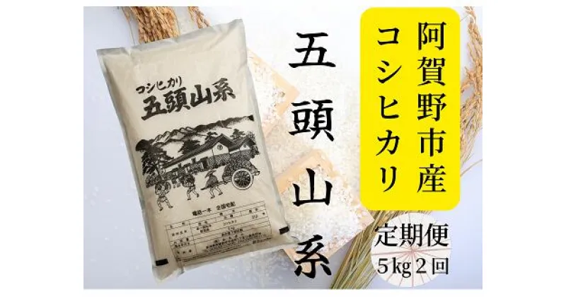 【ふるさと納税】【新米】≪2回定期便≫「米屋のこだわり阿賀野市産」コシヒカリ5kg×2回