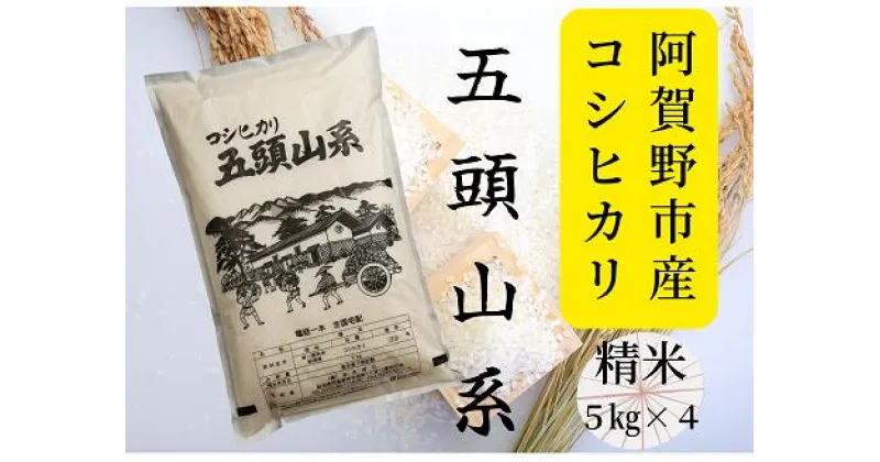 【ふるさと納税】【新米】「米屋のこだわり阿賀野市産」コシヒカリ どーんと20kg！