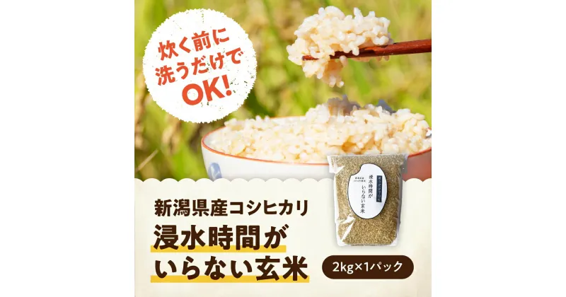 【ふるさと納税】【新米】「米屋のこだわり阿賀野市産」浸水時間がいらない玄米2kg